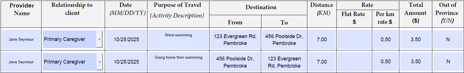 Option 2 Return trip entry