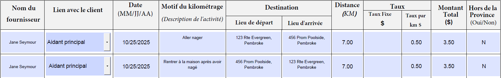 Option 2 pour inscrire un aller-retour